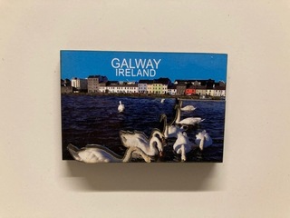 3 D Magnet Galway & Swans
