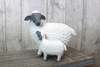 Sheep & Lamb  Ornament 15cm