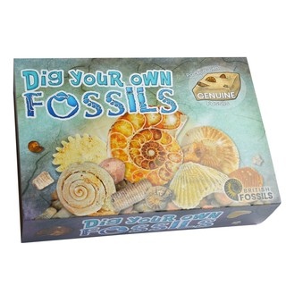 Dig Your Own Fossils (1)