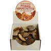 Cut & Polished Ammonites (25)