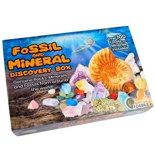 Break Your Own Fossils & Minerals Discovery Kit (1)
