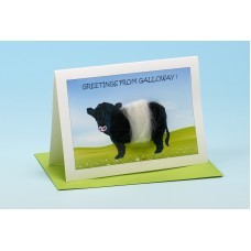 Cow Card-Greetings From-----