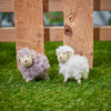 Fluffy Standing Sheep-2 asstd-8cm