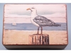 Seagull box - 15x10x6cm
