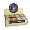 Dig Your Own Fossils Pack (16)