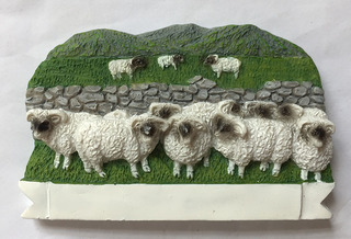 Sheep At Wall Magnet