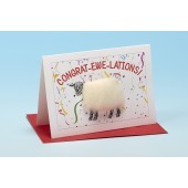 Congrat-ewe-Lations - Greeting Cards